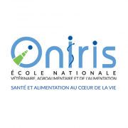 Chargé-e d'insertion professionnelle et référent-e qualité.