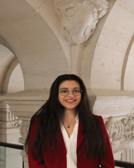 Inserimento dell'immagine in corso...