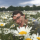 photo de profil d'un membre